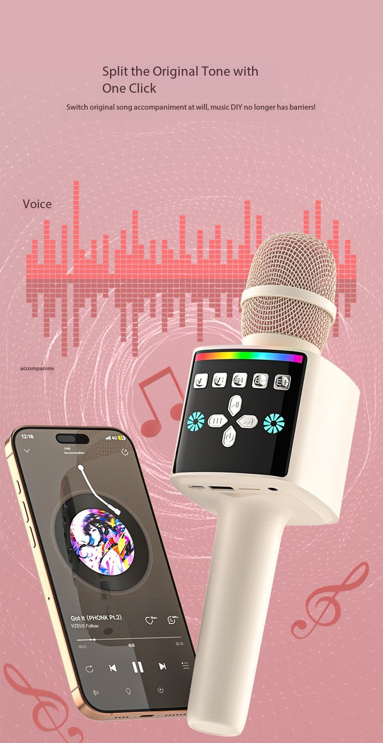 K Mircophone L666
