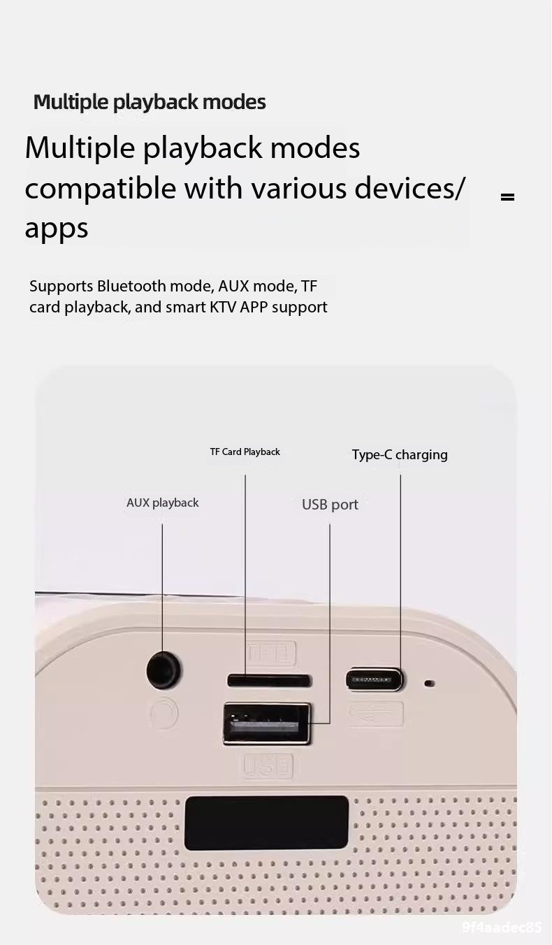K12 Wireless Microphone