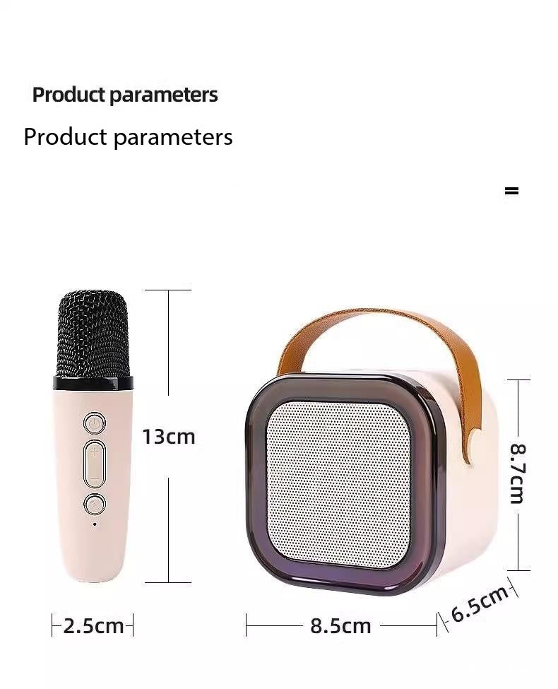 K12 Wireless Microphone
