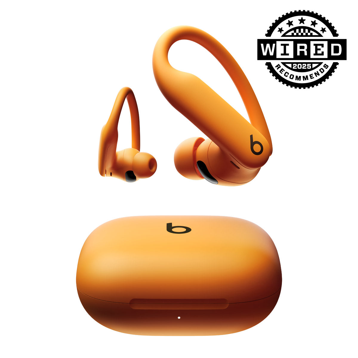 Beats Powerbeats Pro 2 Wireless Noise Cancelling Workout Earbuds